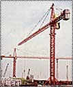 Tower crane standing over a site after erection.